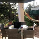 Pine-Tree Home