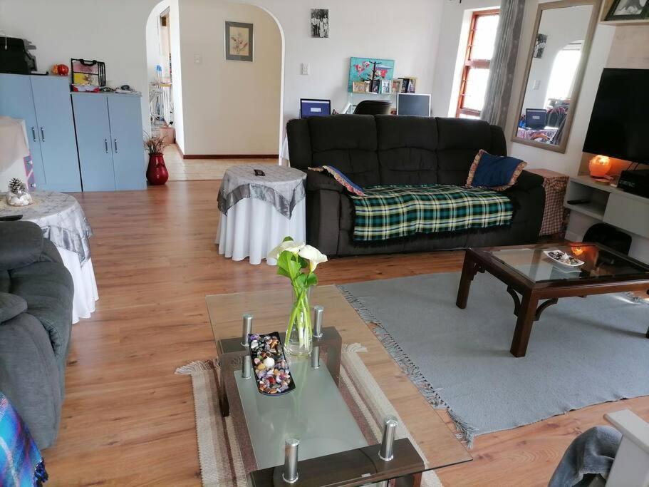 Pine-tree Holiday home